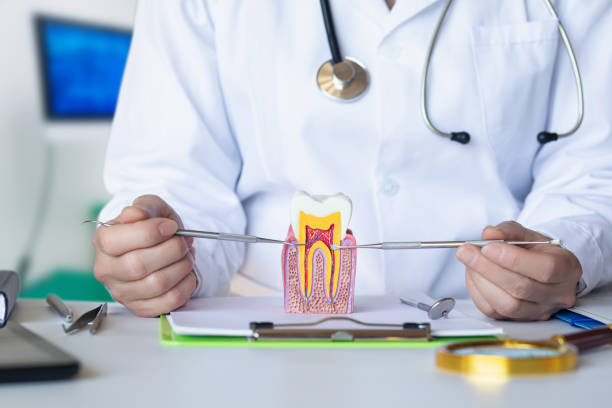 Best Emergency Denture Repair in Isla Vista, CA